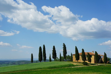 Weg,  Zypressen, Haus, Wolkenhimmel, Toskana, Italien