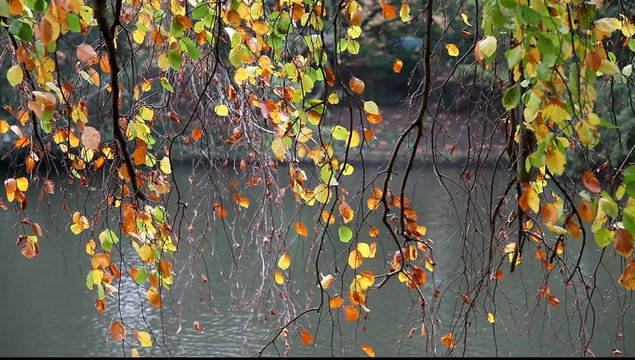 nature couleurs