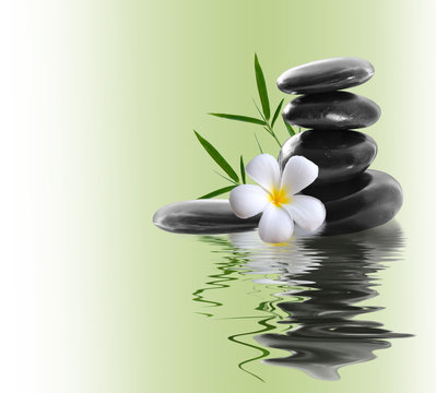 frangipani and stones on a white background