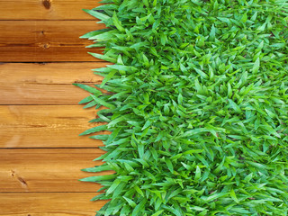 Right Green Grass on Wood