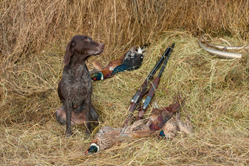 Successful bird shoot