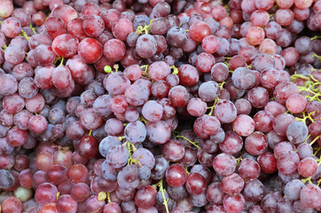 Close up of red grapes