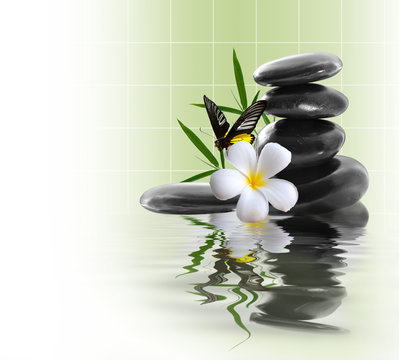 Butterfly, frangipani and stones on the water