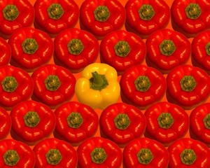 Bright red ripe paprika background