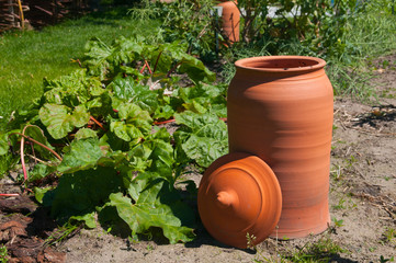 red terracota pot in garden