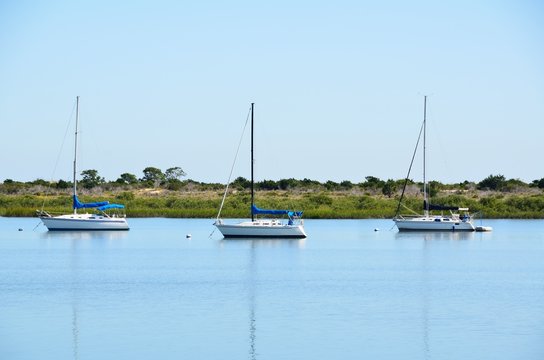 Moored Sailboats