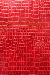 Poster Red crocodile leather © just2shutter