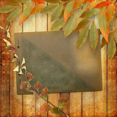 Grunge papers design in scrapbooking style with foliage and page