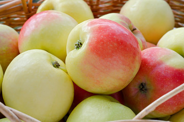 Basket with apples