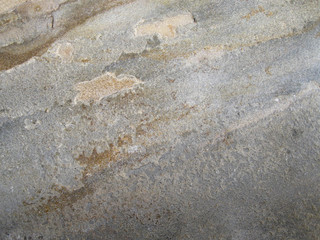 Nahaufnahme von Baumrinde