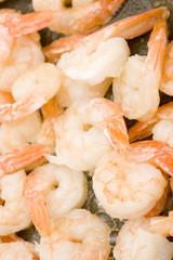 Shrimp