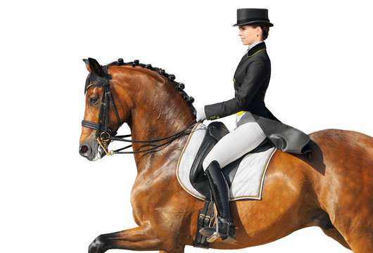 Equestrian sport - dressage