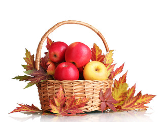 beautiful autumn harvest in basket and leaves isolated on white
