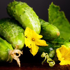 Cucumbers on black