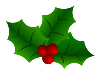 holly leaves with berries
