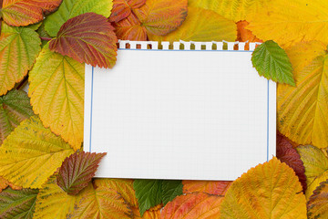 Naklejka na ściany i meble Notebook on the autumn leaves