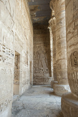 Hieroglypic carvings in an egyptian temple