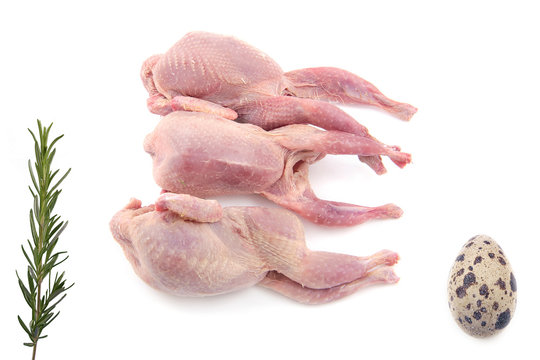 cailles crues pr&ecirc;tes &agrave; cuire sur fond blanc