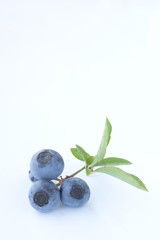 ブルーベリー