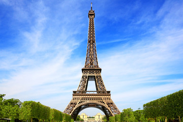 Fototapeta na wymiar Paryska wieża