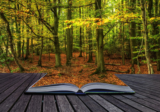 Vibrant Autumn Fall forest landscape coming out of magic book
