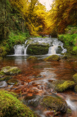 Waterfall flowing through Autumn Fall forest landscape