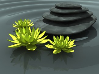 цветы на воде