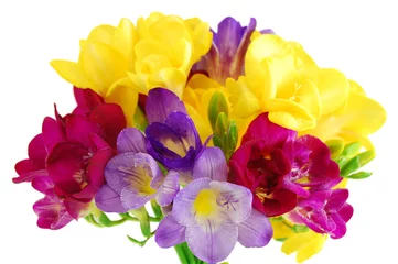 Photo sur Plexiglas Narcisse yellow and violet fresia on white
