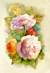 Watercolor Flower Collection: Roses