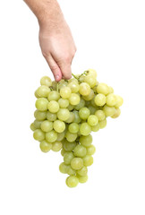 hand holding bunch of ripe green grapes