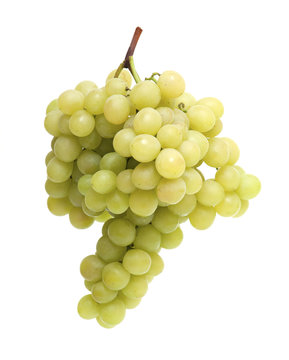 bunch of ripe green grapes
