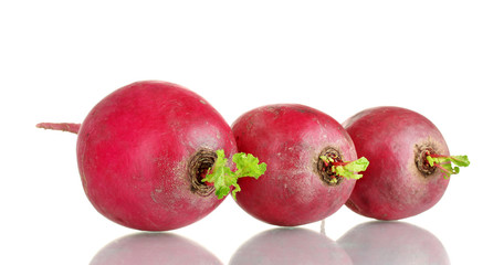 Fresh radishes isolated on white