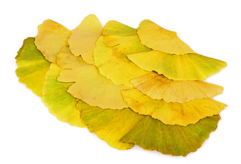 Ginkgo biloba leaves isolated white background