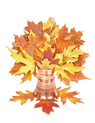 Colorful bouquet of autumn leaves, isolated white background