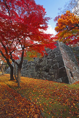 Obraz premium 盛岡城跡公園の紅葉