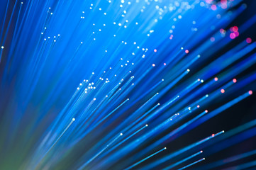 bunch of optical fibres