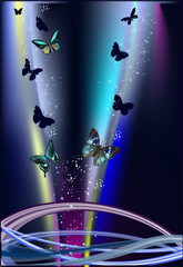 dark blue illustration with butterflies and lines
