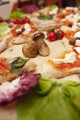 porcini