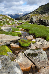 Mountain stream and green grass against dramatic sky