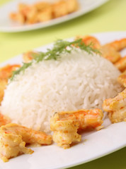 meal,shrimp and rice