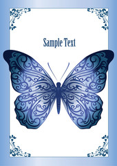 blue lace butterfly