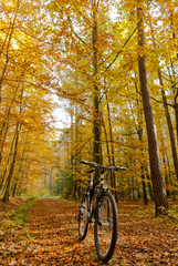 Fototapeta premium bike