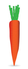 Carrot on white