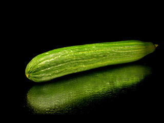 single cucumber