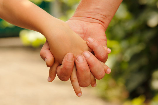 family father and child son hands nature