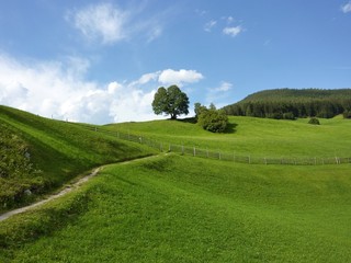 Der Weg zum Horizont