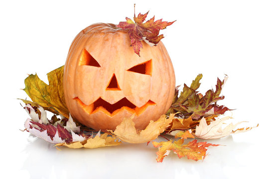 Halloween Pumpkin and autumn leaves isolated on white