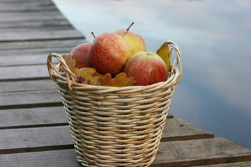 Basket of Apples next to a Lake