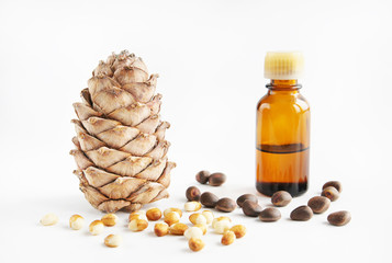 Cedar nuts and oil