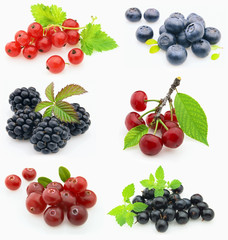 Collage from fresh berries